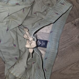 George Athletic Shorts with Bird Pattern - Green